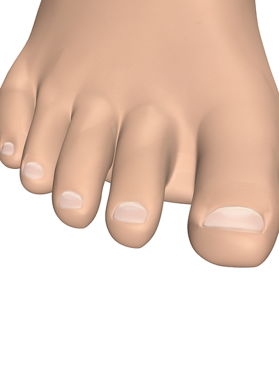 unghie dei piedi
